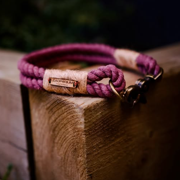 Purple dog leash with gold hardware on a wooden post